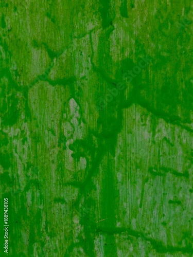green grunge wall