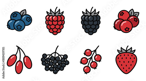 Cartoon vector illustration of various types of colorful berries assortment isolated on white background