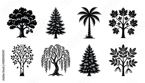 Illustration featuring eight different tree species silhouettes, includes oak, pine, palm, maple, willow, birch trees.