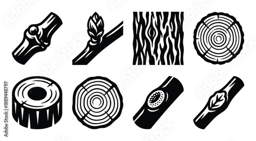 Tree parts vector set. Collection of branch with bud, cross section of trunk and bark textures. Nature art.