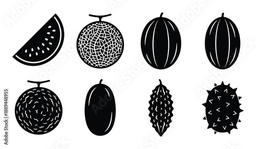 Variety of melons vector set. Includes watermelon, cantaloupe, bitter melon, and horned melon illustrations.