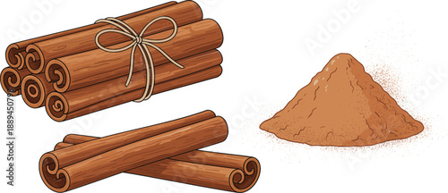 Cinnamon sticks bundle tied with twine and heap of ground aromatic cinnamon powder isolated on white background, organic spice vector illustration for culinary design.
