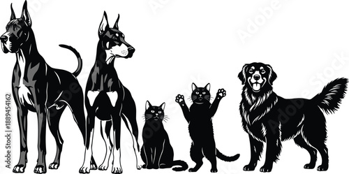 Domestic pets collection dogs and cats silhouettes standing together animal family companions veterinary care vector illustration isolated
