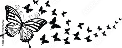 Elegant, Black, Butterfly, Silhouette, Dissolving, into, a, Swarm, of, Small, Flying, Insects, with, Decorative, Wing, Swirls, Isolated, on, White, Background