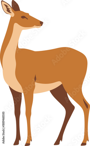 Brown Deer Standing Isolated on White Background Vector Illustration