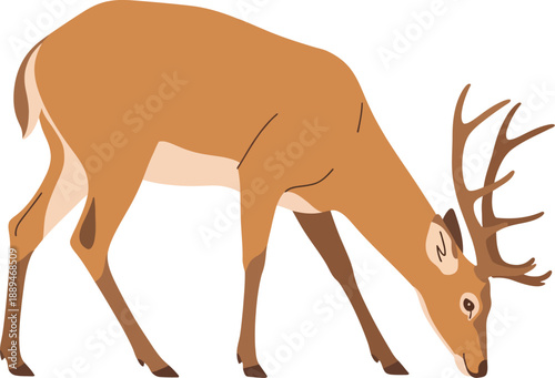 Buck Deer Grazing Illustration, Vector Art, Wildlife Nature Scene, Forest Animal