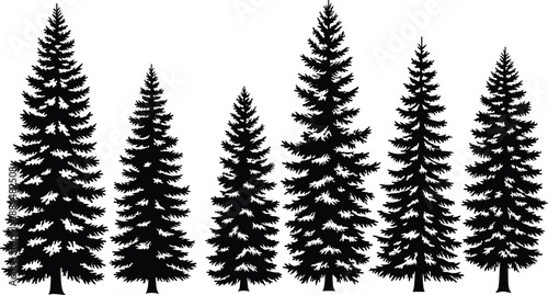 Pine tree silhouettes collection, evergreen forest icons, conifer trees set, winter nature landscape, fir spruce symbols, woodland illustration
