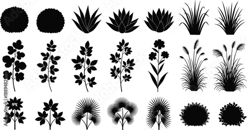 Plant and foliage silhouettes collection, garden leaves bushes grasses flowers set, botanical nature elements, black plant silhouettes isolated white
