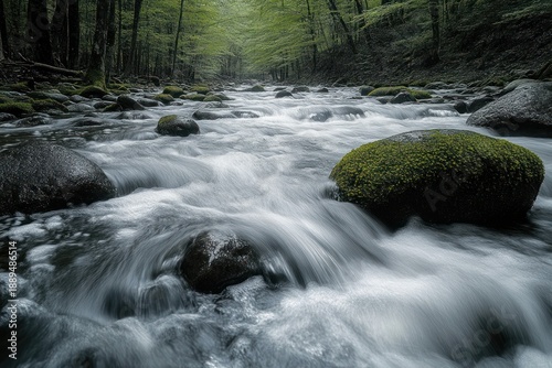 Moss-covered boulders in a rushing forest stream with silky flowing water under a lush green canopy, evoking calm and serene feeling