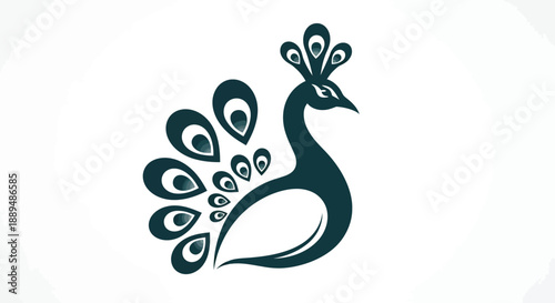 A striking illustration of a peacock s head and elegantly curved tail feathers in a minimalist style