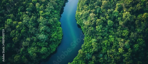 Panel kuchenny z motywem Aerial View Dense Green Forest With Curving River Flowing Through Lush Vegetation