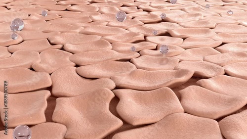 Skin layer lose moisture, causing dry, blotchy and sagging skin, wrinkles and ages appear, facial skin becomes dehydrated. Anti-wrinkle and anti-aging, skin care beauty solution, cosmetic ads, 3D.