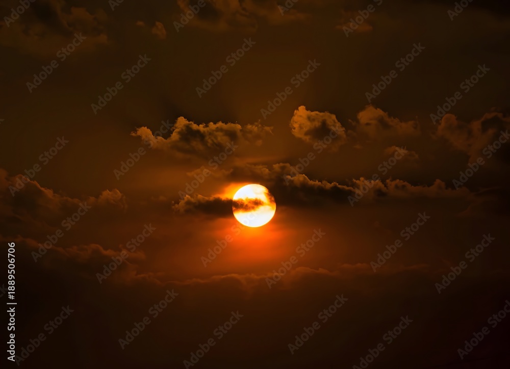 Fototapeta premium golden hour glow: chasing the horizon
