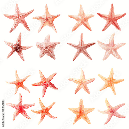 Watercolor starfish collection in soft coral and orange tones featuring detailed sea stars isolated on white background for marine and summer designs.