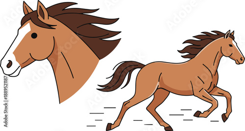 Running horse full body and head illustration in flat cartoon vector style for wildlife or equestrian designs