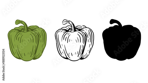 Three bell peppers in different colors and illustration styles on white background
