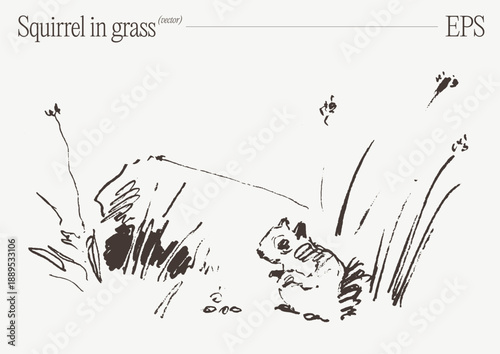 Cute Squirrel Foraging in Grass Sketch Illustration