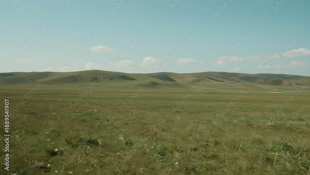 Fototapeta premium Flatland Fieldscape