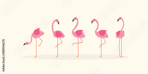 Set of pink flamingo characters in various poses, flat vector illustration isolated on white background