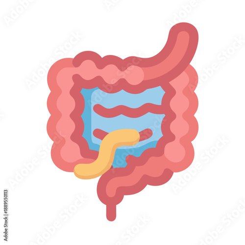 Flat design illustration of human digestive system anatomy
