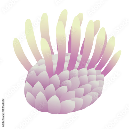 Colorful Cambrian prehistoric marine invertebrate illustration