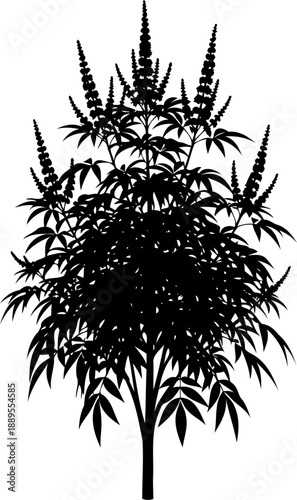 Cannabis hemp plant silhouette with flower buds