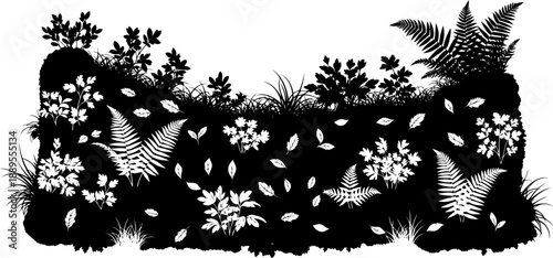 Forest floor undergrowth silhouette with ferns and leaves