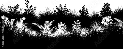 Forest undergrowth with ferns and shrubs silhouette
