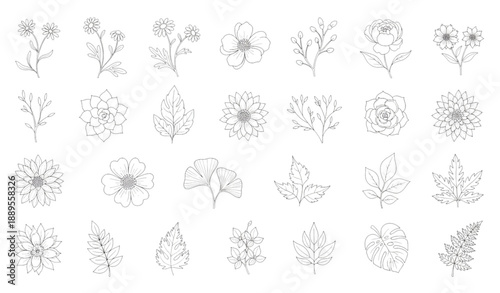 Handcrafted line botanical icons with decorative plants and floral motifs vector set