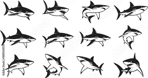 Aggressive Shark Silhouette Vector Set with Dynamic Swimming Poses for Marine Wildlife Logos Sports Branding Tattoos and Bold Black Graphic Designs