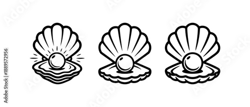 Black and White Oyster Pearl Seafood Shell Art