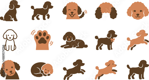Charming Collection of Poodle Dog Character Illustrations Depicting Various Poses, Emotions, and Actions for Pet-Themed Graphics and Cute Animal Designs
