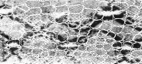 Snakeskin pattern imitation. Lines and spots structural texture. Cool and artsy faux leather background. Abstract vector illustration. Black isolated on white. EPS10