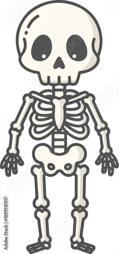 Cartoon illustration of a full human skeleton standing against a white background