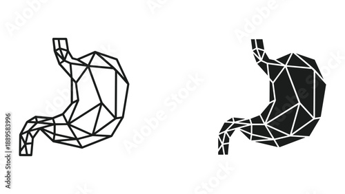 Low poly stomach illustration in two different styles