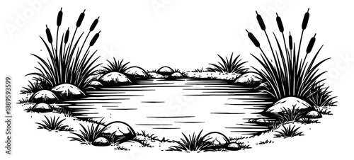 Hand drawn line art illustration of a pond depicting cattails and rocks for nature projects