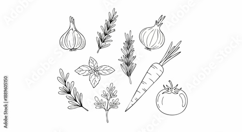 Hand Drawn Vegetables and Herbs Collection.