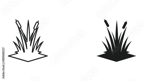 Cattail plant illustration in black and white style