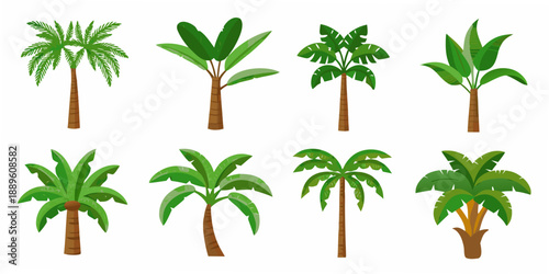 A colorful illustration showcasing various types of tropical palm and leafy trees