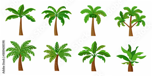 Collection of various tropical palm trees with green fronds and brown trunks