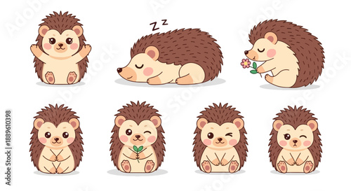 Adorable little hedgehogs sleeping playing and posing in a charming collection