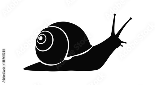 A striking black silhouette depicts a snail with a spiraled shell and extended antennae showcasing natural form silhouette high quality professional