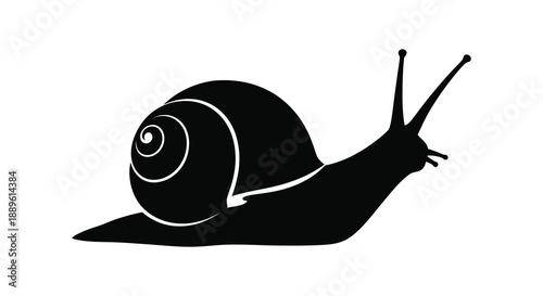 A striking black silhouette depicts a snail with prominent antennae and a spiraled shell showcasing natural form silhouette high quality professional