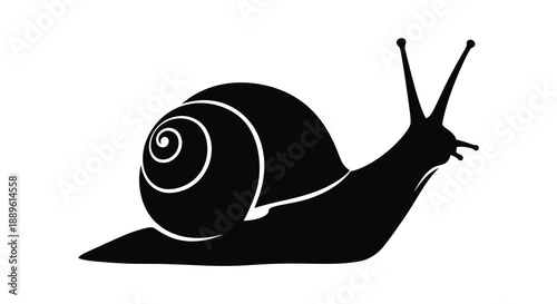 A striking black silhouette depicts a snail with prominent antennae and a swirling shell showcasing natural form silhouette high quality professional