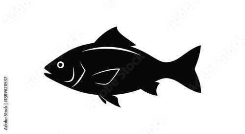 A stark black silhouette of a fish is prominently displayed against a white background showcasing its streamlined form silhouette high quality