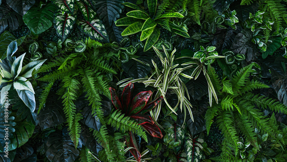 Fototapeta premium Full Frame of Green Leaves Pattern Background, Nature Lush Foliage Leaf Texture, tropical leaf