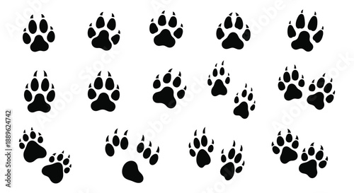 A collection of dark paw prints scattered across a white background presenting a clear pattern of animal footprints