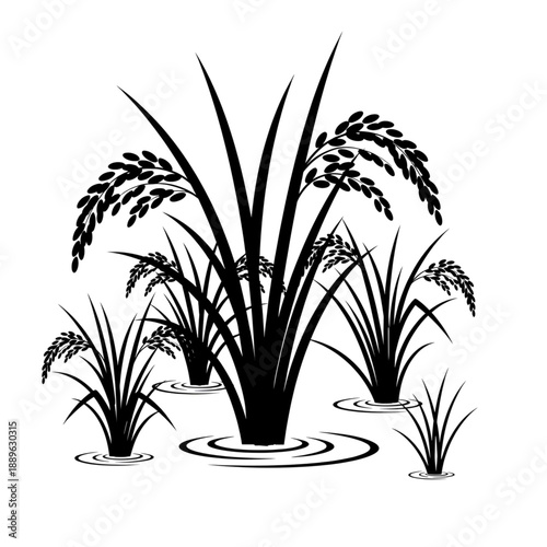 Rice Paddy Plant Silhouette Illustration with Water Ripples - Organic Farming Vector
