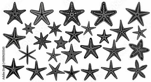 Starfishes hand drawn set, big vector collection design sea stars. Emblem, decor, symbol sea or beach, isolated silhouette on white background.