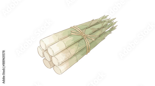 Freshly Harvested Sugarcane Bundles - Agricultural Produce - Outdoor Farm - Illustration - Natural Setting - Eye-Level View - Organic Farming